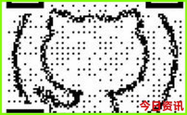 六月中旬去哪里旅游合适